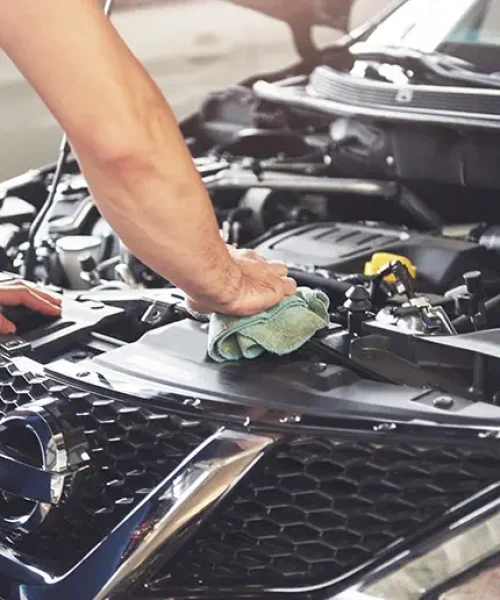 Engine Detailing